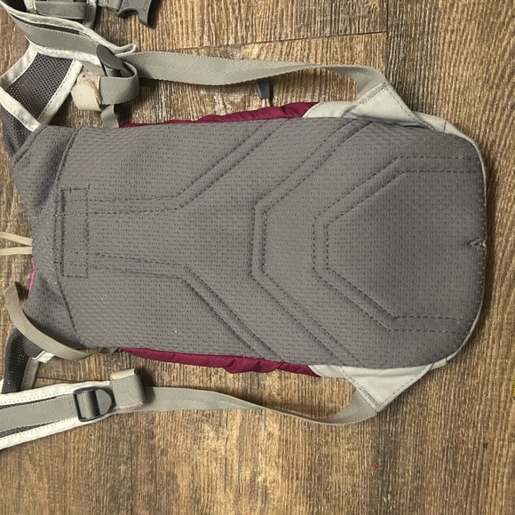 CamelBak mini mule Pink and Gray Backpack in good condition minor stains - Picture 9 of 9
